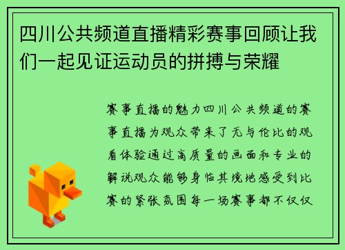 四川公共频道直播精彩赛事回顾让我们一起见证运动员的拼搏与荣耀
