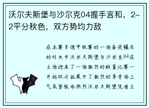 沃尔夫斯堡与沙尔克04握手言和，2-2平分秋色，双方势均力敌